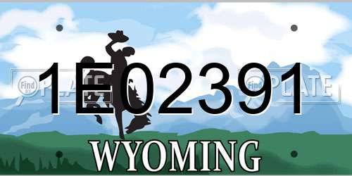 1E02391 Wyoming License Plate