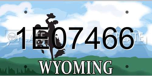 1E07466 Wyoming License Plate