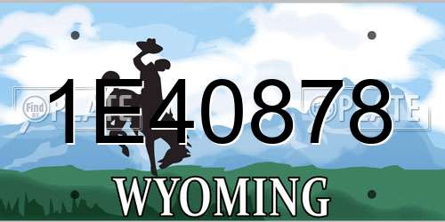1E40878 Wyoming License Plate