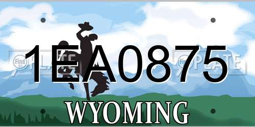 1EA0875 Wyoming License Plate