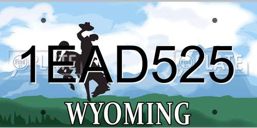 1EAD525 Wyoming License Plate