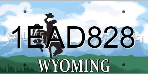 1EAD828 Wyoming License Plate