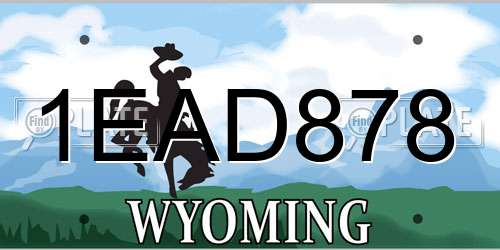 1EAD878 Wyoming License Plate
