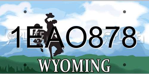 1EAO878 Wyoming License Plate