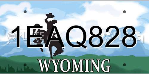1EAQ828 Wyoming License Plate
