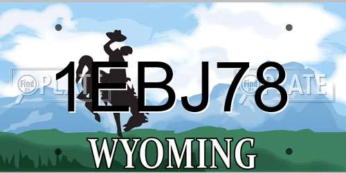 1EBJ78 Wyoming License Plate