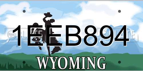 1EEB894 Wyoming License Plate