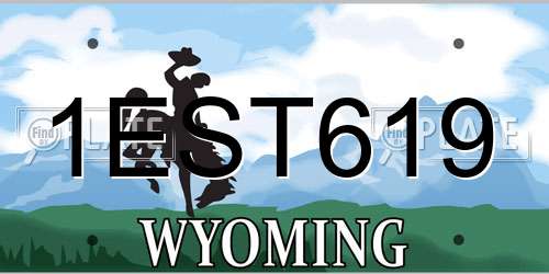 1EST619 Wyoming License Plate