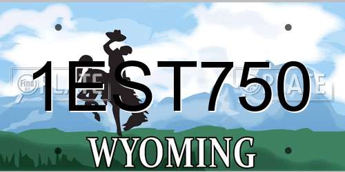1EST750 Wyoming License Plate