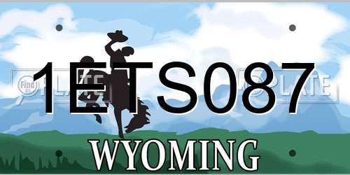 1ETS087 Wyoming License Plate