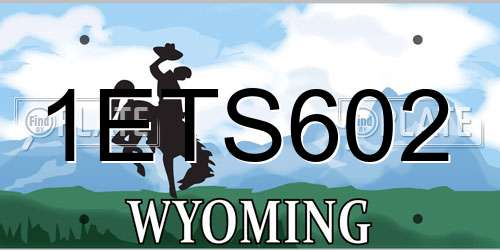 1ETS602 Wyoming License Plate