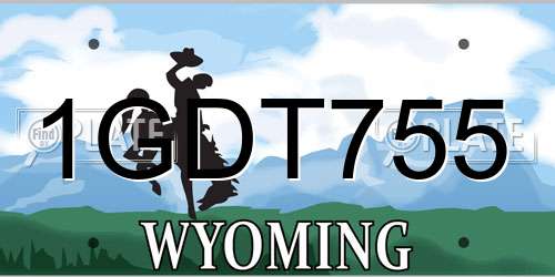1GDT755 Wyoming License Plate