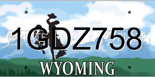 1GDZ758 Wyoming License Plate