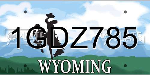 1GDZ785 Wyoming License Plate