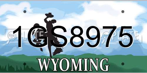 1GS8975 Wyoming License Plate