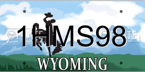 1HMS98 Wyoming License Plate