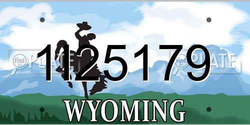 1I25179 Wyoming License Plate