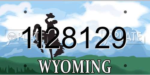 1I28129 Wyoming License Plate