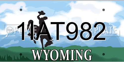 1IAT982 Wyoming License Plate