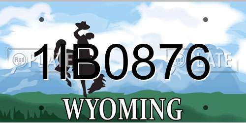 1IB0876 Wyoming License Plate