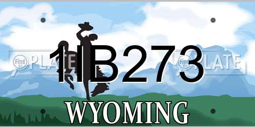 1IB273 Wyoming License Plate