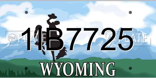 1IB7725 Wyoming License Plate