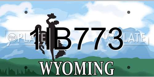 1IB773 Wyoming License Plate