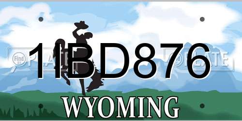 1IBD876 Wyoming License Plate
