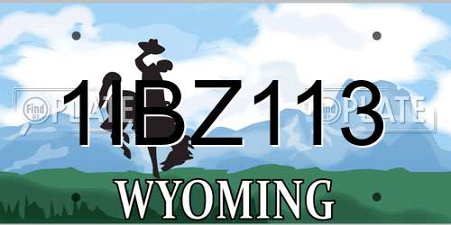 1IBZ113 Wyoming License Plate
