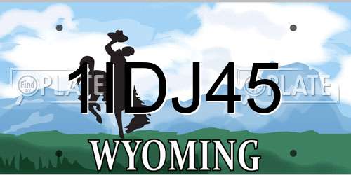 1IDJ45 Wyoming License Plate