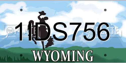 1IDS756 Wyoming License Plate