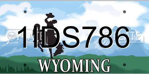 1IDS786 Wyoming License Plate