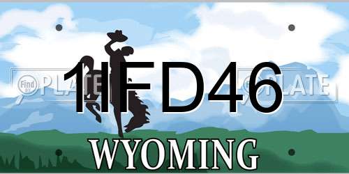 1IFD46 Wyoming License Plate