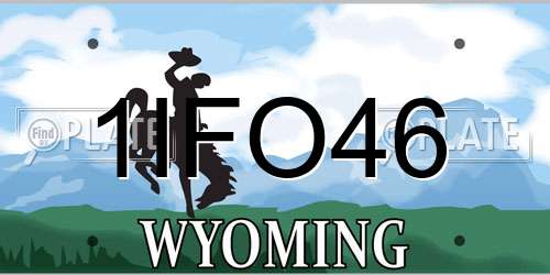 1IFO46 Wyoming License Plate