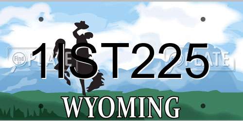 1IST225 Wyoming License Plate