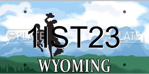 1IST23 Wyoming License Plate