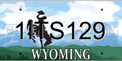 1ITS129 Wyoming License Plate