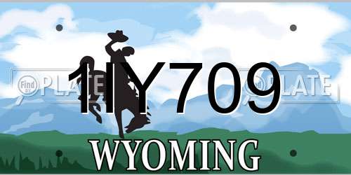 1IY709 Wyoming License Plate