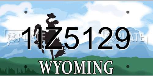 1IZ5129 Wyoming License Plate