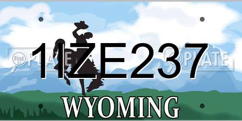 1IZE237 Wyoming License Plate