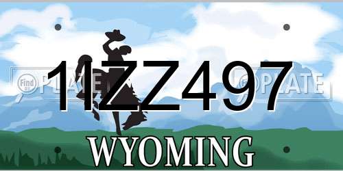 1IZZ497 Wyoming License Plate