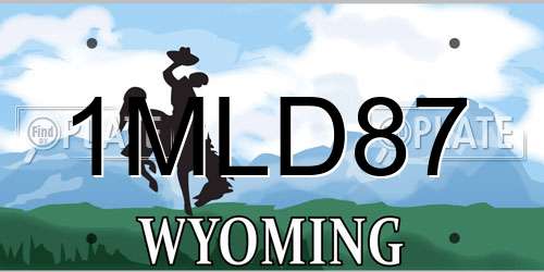 1MLD87 Wyoming License Plate