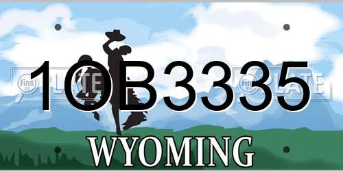 1OB3335 Wyoming License Plate