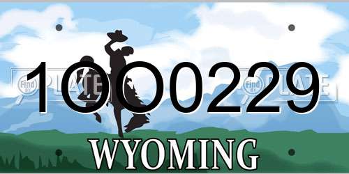 1OO0229 Wyoming License Plate