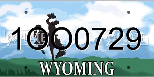 1OO0729 Wyoming License Plate