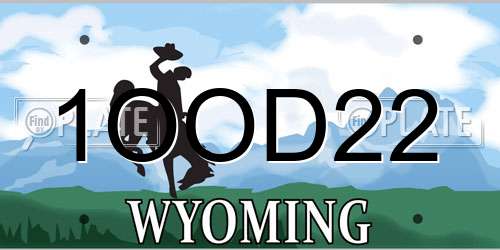1OOD22 Wyoming License Plate