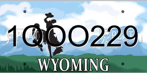 1QOO229 Wyoming License Plate