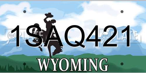 1SAQ421 Wyoming License Plate