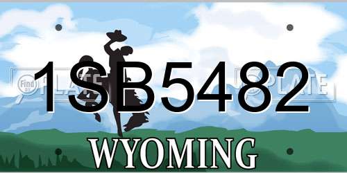 1SB5482 Wyoming License Plate