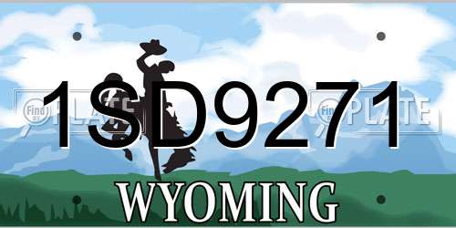 1SD9271 Wyoming License Plate